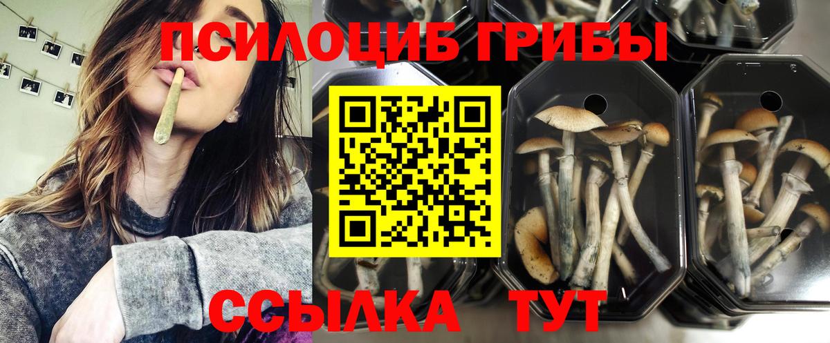 Псилоцибиновые грибы ЛСД Орск