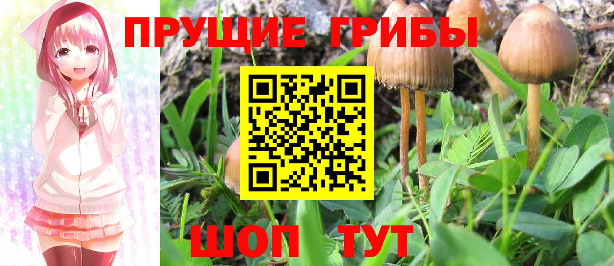 Псилоцибиновые грибы Cubensis  Галлюциногенные грибы Magic Shrooms  Вход с VPN  Орск 